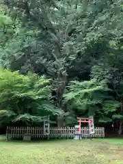 金剛院(京都府)