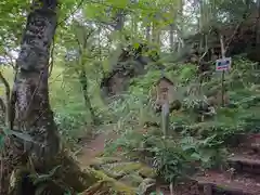 天の岩戸(飛騨一宮水無神社奥宮)の自然