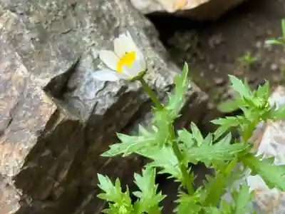 西方山極楽寺(岐阜県)