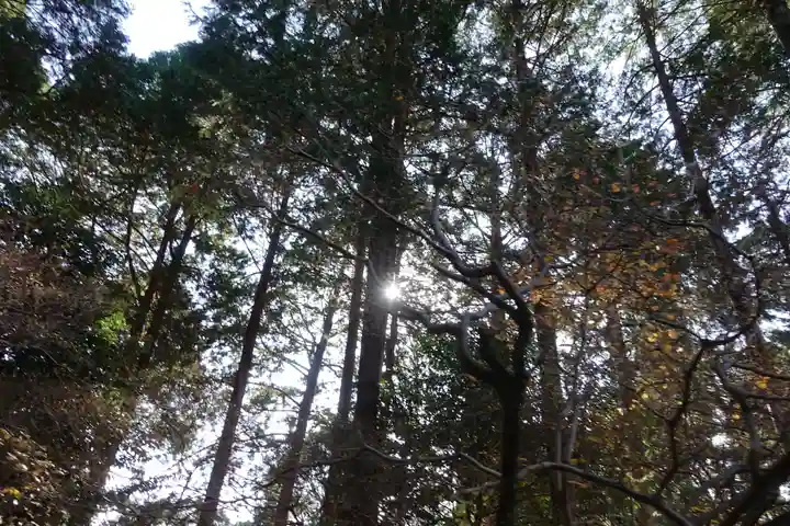 伊奈冨神社(三重県)