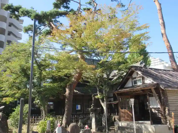 仙岳院(宮城県)