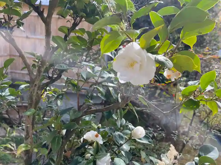 伊勢の国 四天王寺(三重県)