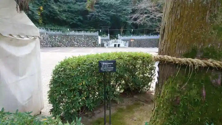 大縣神社の自然