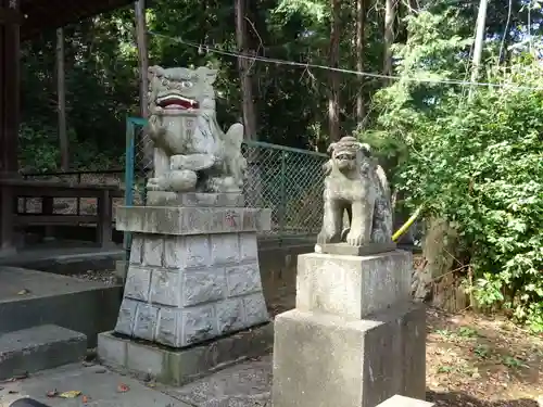 杉山神社の狛犬