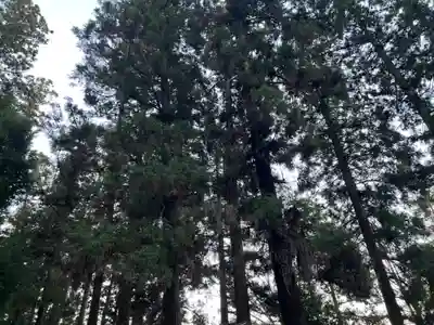 大宮温泉神社(栃木県)