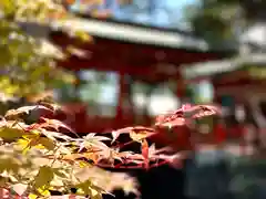 生島足島神社の自然