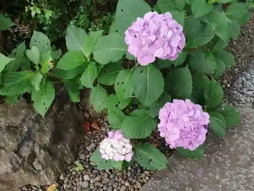 菊田神社の自然