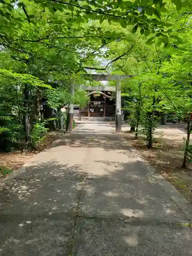 闇之森八幡社(愛知県)