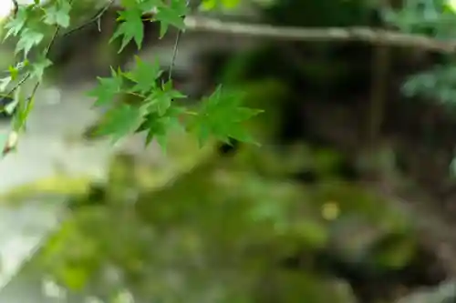 霧島神宮(鹿児島県)