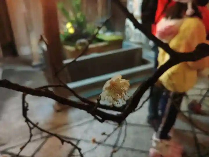 錦天満宮(京都府)