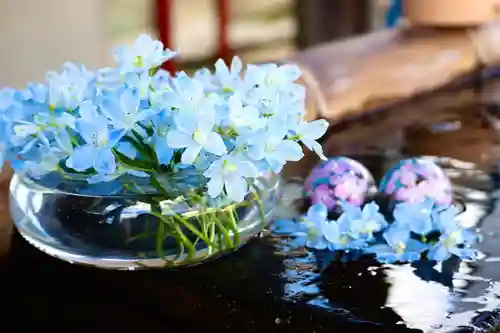 上尾御嶽神社の手水