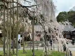 足羽神社の自然