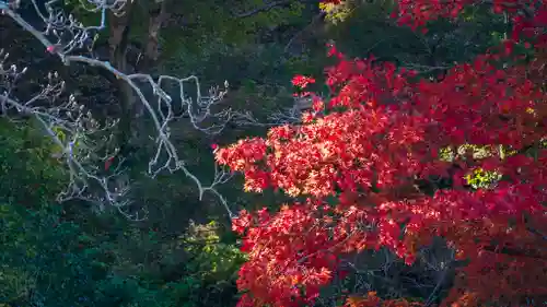 長谷寺(奈良県)