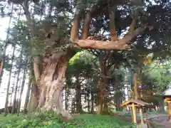 鹿島神社の建物その他