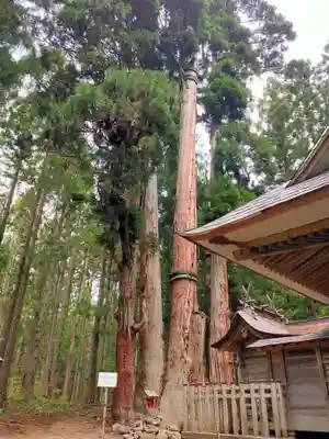高倉神社(福島県)