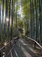 高台寺（高台寿聖禅寺・高臺寺）(京都府)