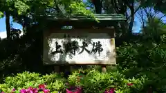 上野大佛の建物その他