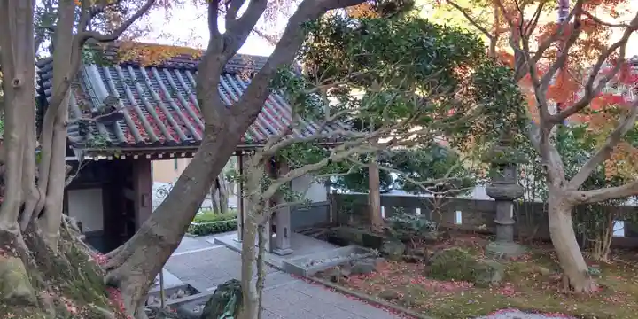 報国寺(神奈川県)