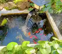 本法寺(東京都)