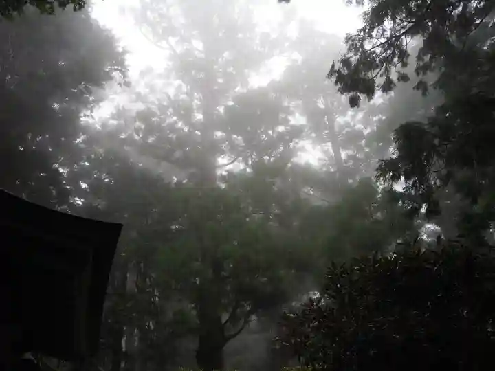 玉置神社の{uncategorized: "未分類", other: "その他", undefined: "問題あり", building: "その他建物", grave: "お墓", sacred_gate: "鳥居", guardian: "狛犬", statue: "像", buddha: "仏像", history: "歴史", nature: "自然", garden: "庭園", animal: "動物", pagoda: "塔", temizu: "手水舎", mountain_gate: "山門・神門", sanctuary: "本殿・本堂", subordinate: "末社・摂社", art: "芸術", scenery: "景色", jizo: "地蔵", ema: "絵馬", goshuin: "御朱印", omikuji: "おみくじ", items: "授与品その他", amulet: "お守り", goshuincho: "御朱印帳", eats: "食事", festival: "お祭り", votive_dance: "神楽", shichigosan: "七五三参", wedding: "結婚式", experience: "体験その他", initially: "初詣", around: "周辺", anti_infection: "感染症対策"}