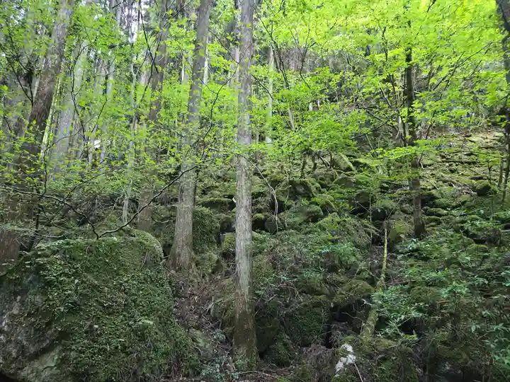 龍鎮神社(奈良県)