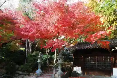 智光院(山口県)