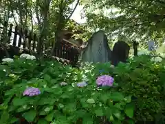 長谷寺(神奈川県)