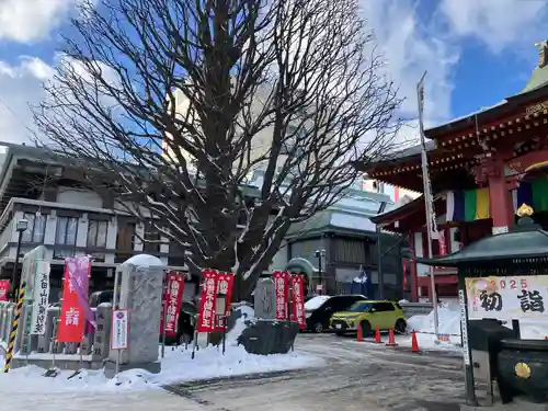 成田山札幌別院新栄寺の初詣