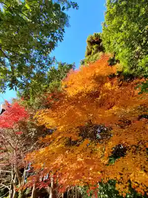 滑川神社 - 仕事と子どもの守り神(福島県)