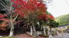 日吉神社(京都府)