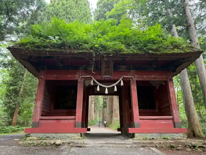 戸隠神社奥社(長野県)