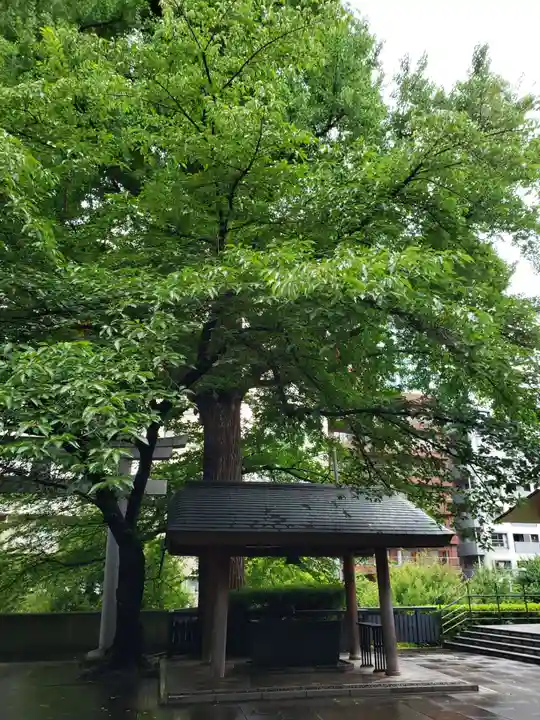 熊野神社の手水舎