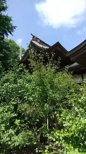 茂原八幡神社の本殿・本堂