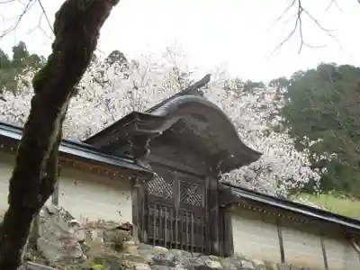 常照皇寺の本殿・本堂