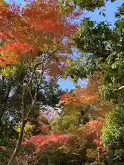 龍安寺(京都府)