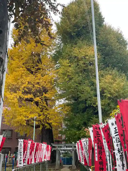 出世稲荷神社(埼玉県)