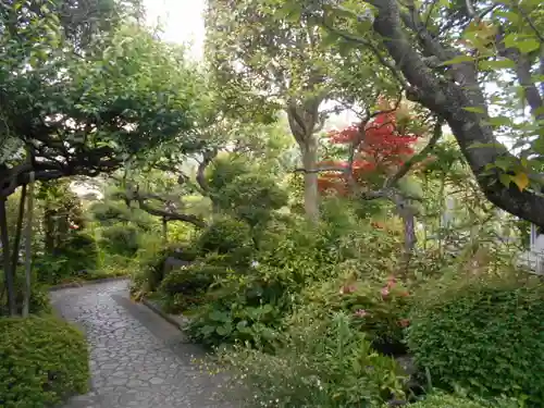 光照寺の庭園