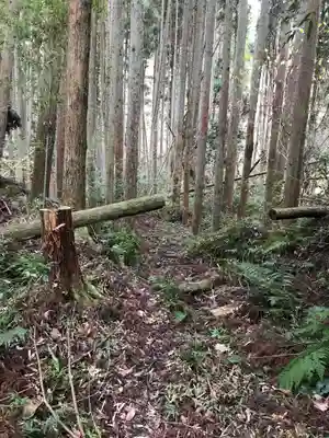 山神神社の自然