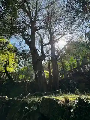 武蔵二宮 金鑚神社(埼玉県)