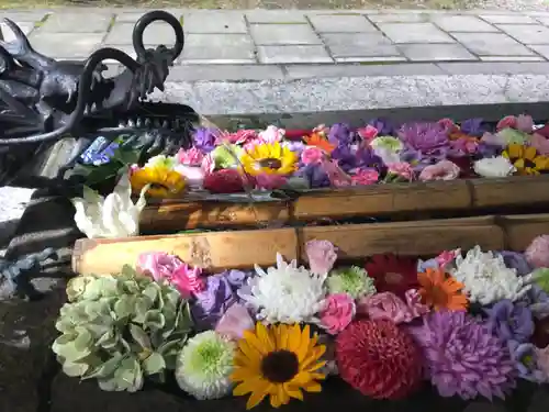 札幌護國神社の手水