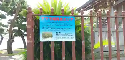 琵琶島神社のその他建物