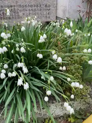 崇道天皇社(奈良県)