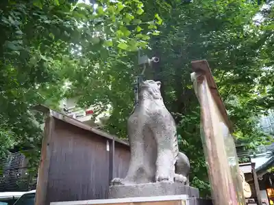 稲荷鬼王神社の狛犬