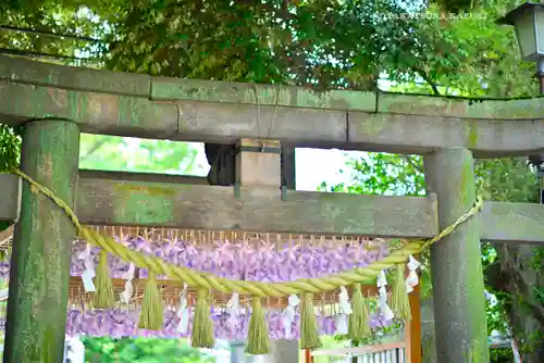 川越氷川神社(埼玉県)