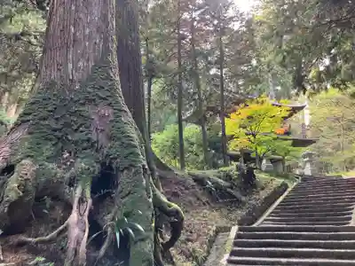 最乗寺（道了尊）(神奈川県)
