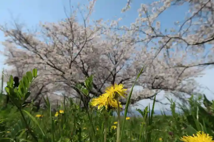 千代保稲荷神社(岐阜県)