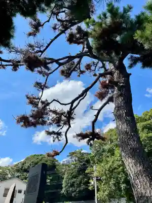 宝蔵院(千葉県)