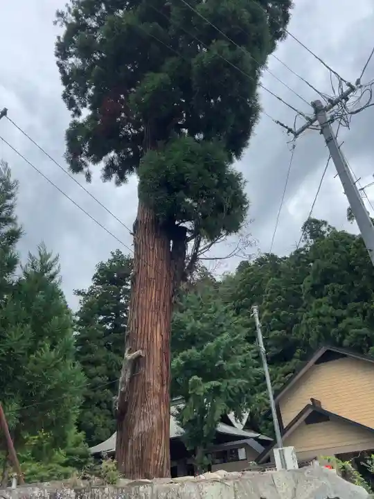 鹿嶋神社の自然