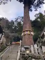 由岐神社(京都府)