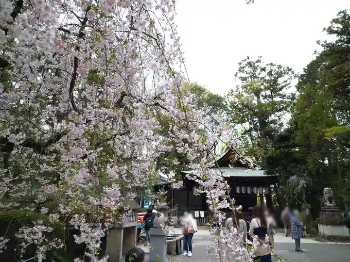 岡崎神社のその他建物
